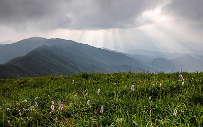 소백산의 아침빛