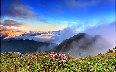 바람불어 좋은 날 !!