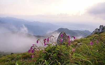 산오이풀이있는 풍경!!!