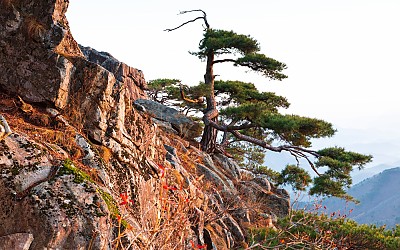 대둔산.