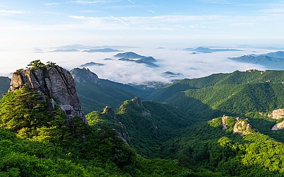 보정은