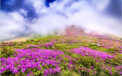 한라산