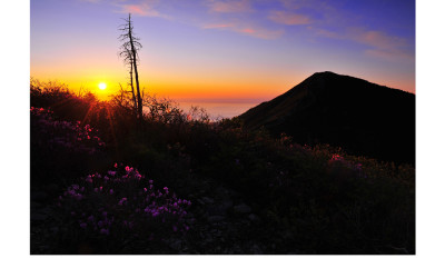 설악산의 봄(설악산)