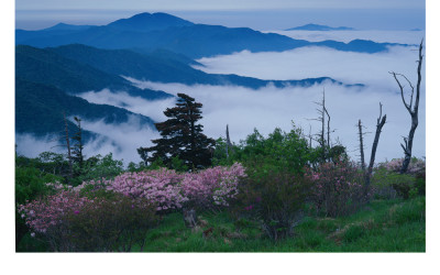 바람(덕유산)