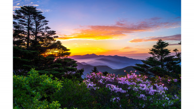 반야봉의 봄(지리산)