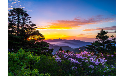 반야봉의 봄(지리산)