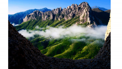 울산암의 봄(설악산)