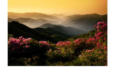 지리산의미 봄(지리산)