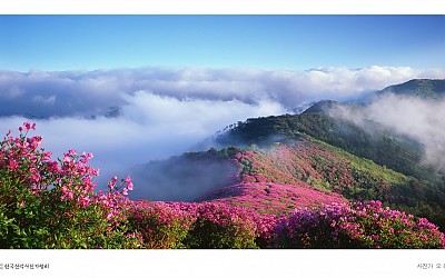 고요한 아침풍경