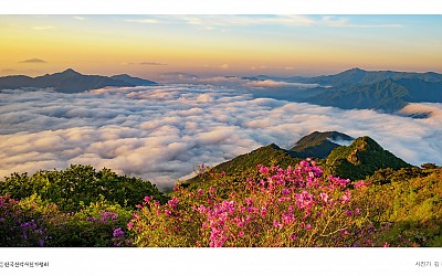 지리산 형제봉의 봄