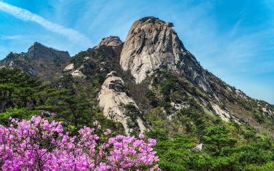 북한산의봄