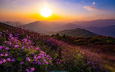 지리산 바래봉