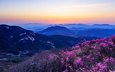 황매산