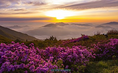 지리산 뱌래봉