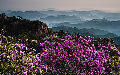 대둔산,