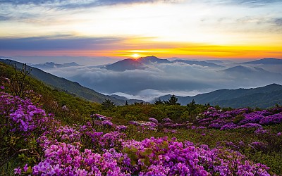 지리산 바래봉에서