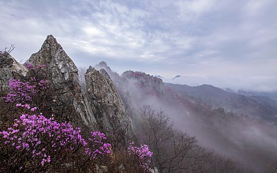 주작의 저녁