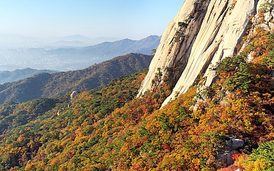 환상적인 가을맞이