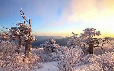 태백 설경