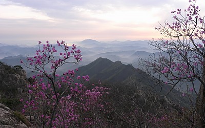 봄의 상경.