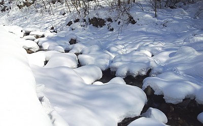 경주 무장산의 계곡