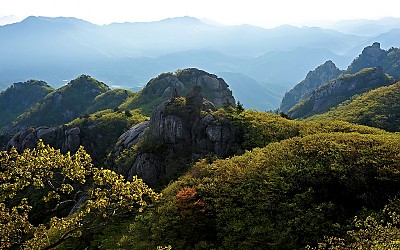 속리산 신록