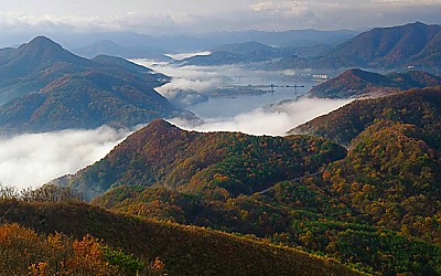 2010년 백호해에도 좋은 일만 가득하시길 바랍니다^^