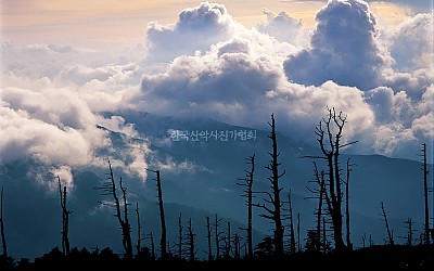 지리산의오후