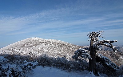 태백산의 겨울연가