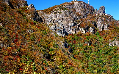 금오산 단풍