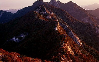 계룡산의 가을