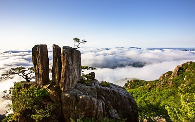 삼형제바위운해