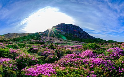 한라산