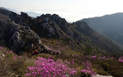 주작산.