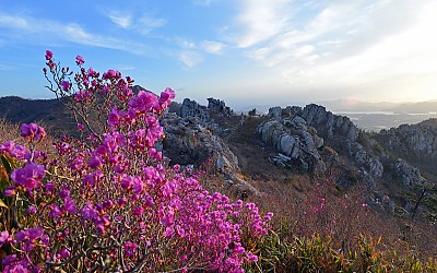 주작산