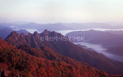 구봉산의 가을