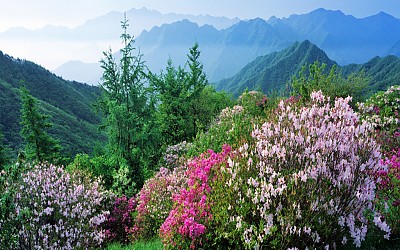 지리산 바래봉