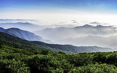 덕유산의 여름