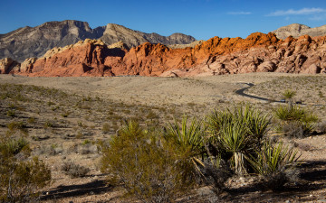 회원님 한해 고생 많으셨습니다.