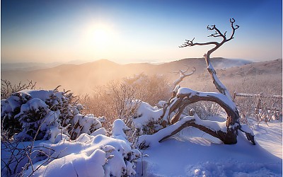 태백산 설경