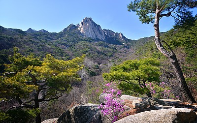 봄날의 도봉산