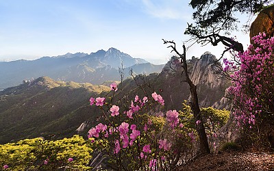 도봉산의 노을빛 봄