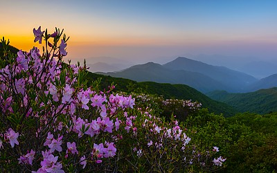 지리산