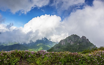 가야산의 운무