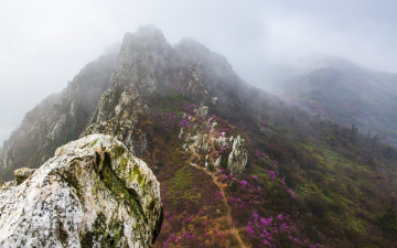 덕룡산 일출 포인트 풍경