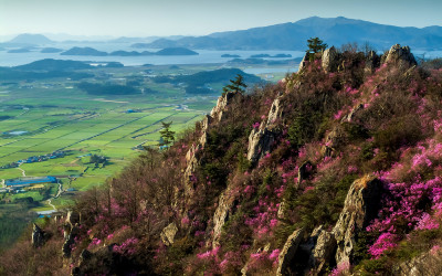 주작산의 봄