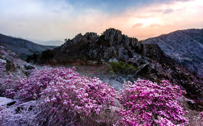 춘설(주작산)