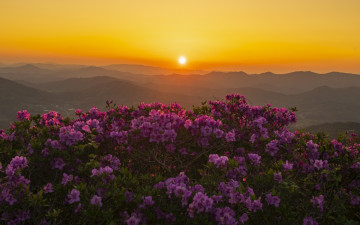 초암산 일몰 풍경 입니다