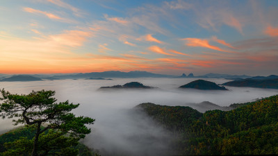 Image 128242