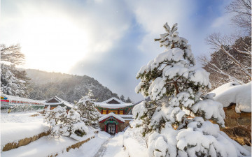 폭설 내린 정암사 !!!